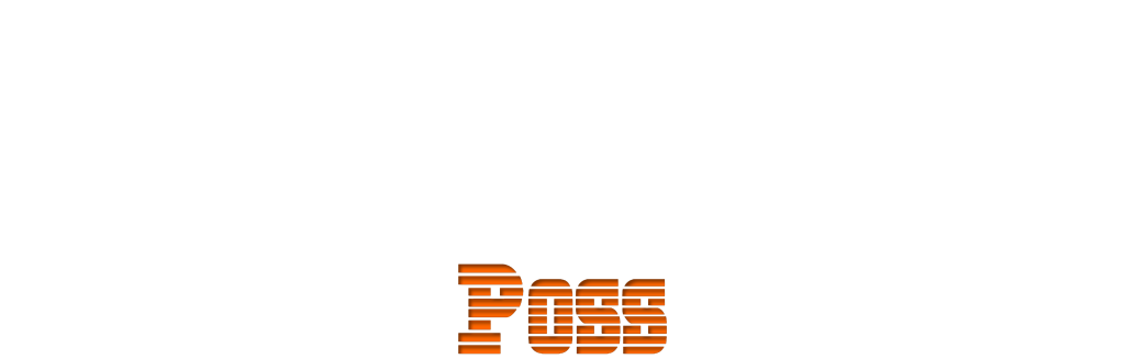 Moët Hennessy México POSS